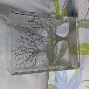 Square Glass Vase Or Candleholder With Silver Tree Silhouettes